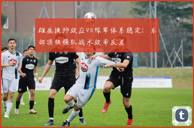 雄鹿换帅效应vs绿军体系稳定：东部顶级强队战术效率反差