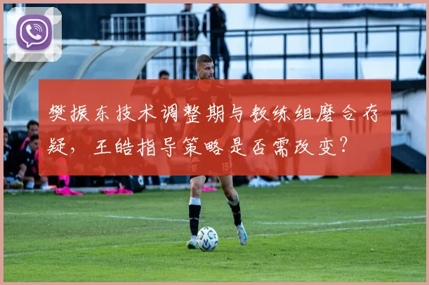 樊振东技术调整期与教练组磨合存疑，王皓指导策略是否需改变？